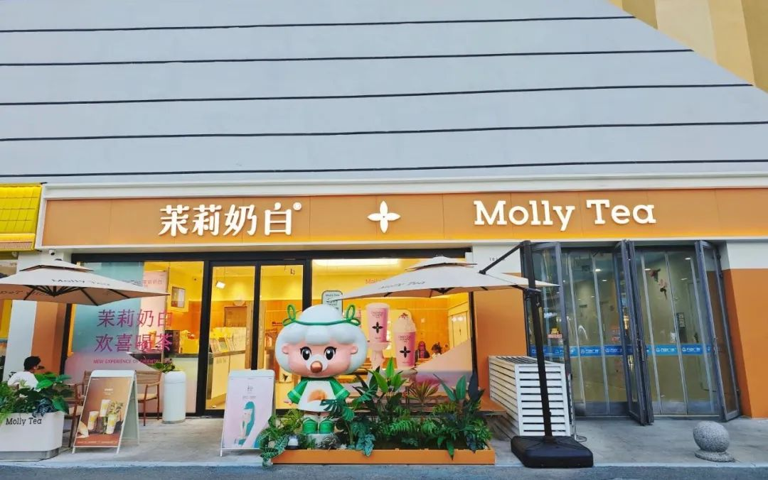 Blueview Store Lighting Project: Molly Tea